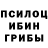 Галлюциногенные грибы Cubensis macherie chen