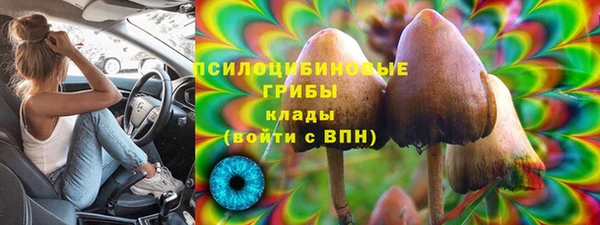 шишки Карпинск