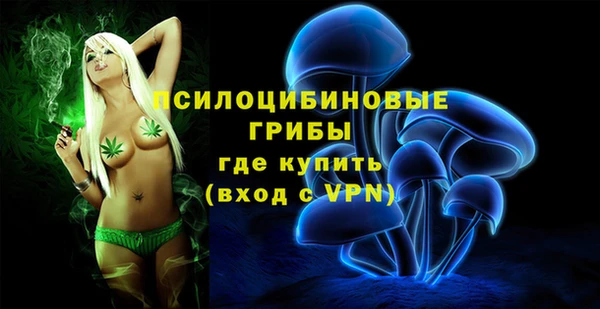 шишки Карпинск